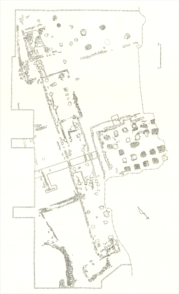 兴德寺遗址的发掘实测图(清州大学博物馆，《清州兴德寺遗址发掘调查报告》（2000)）