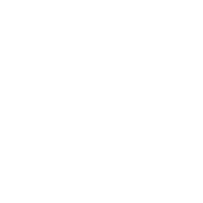 직지의 여정